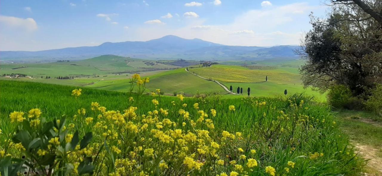La Corte Antica Pienza Eksteriør billede